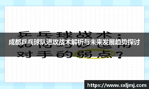 成都乒乓球队进攻战术解析与未来发展趋势探讨