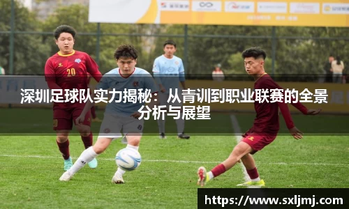 深圳足球队实力揭秘：从青训到职业联赛的全景分析与展望