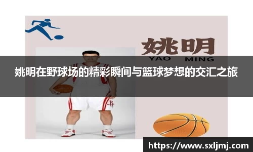 姚明在野球场的精彩瞬间与篮球梦想的交汇之旅