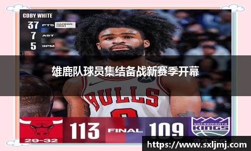 Bsports官网