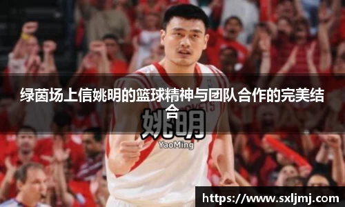 Bsports官网