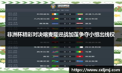非洲杯精彩对决喀麦隆迎战加蓬争夺小组出线权