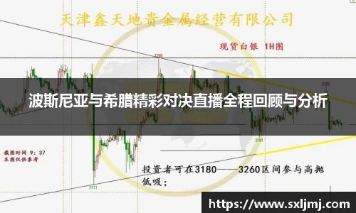 波斯尼亚与希腊精彩对决直播全程回顾与分析