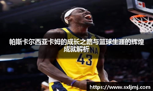 必一·运动B-Sports官方网站