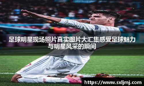 zoty中欧官网入口